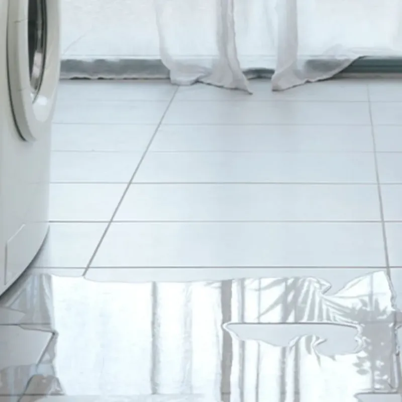 Appliance Leak Cleanup in Rocky Point, NC