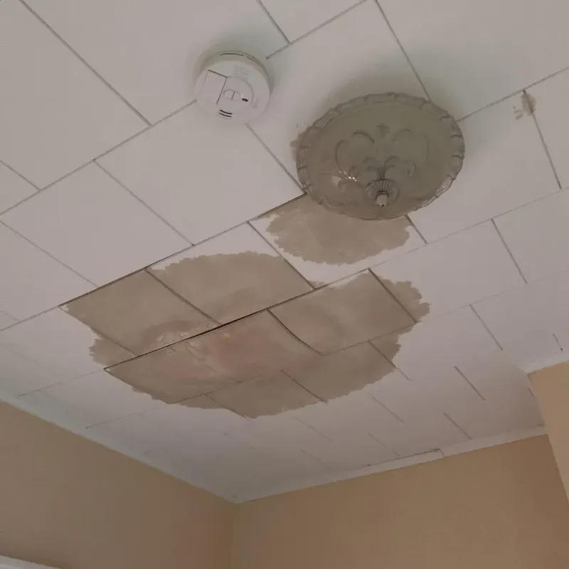 Ceiling Water Damage Repair in Rocky Point, NC